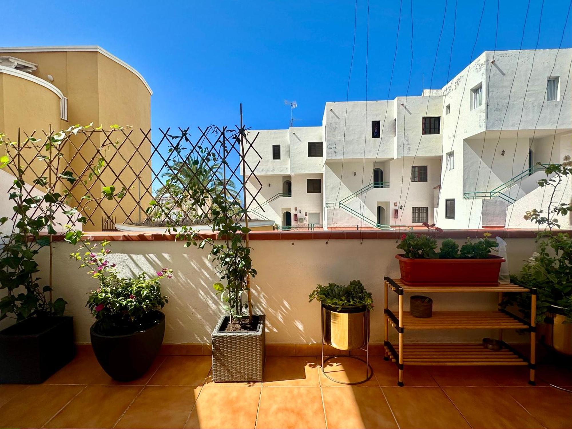 Apartment In Ocean Park Ii, Costa Adeje, Tenerife エクステリア 写真