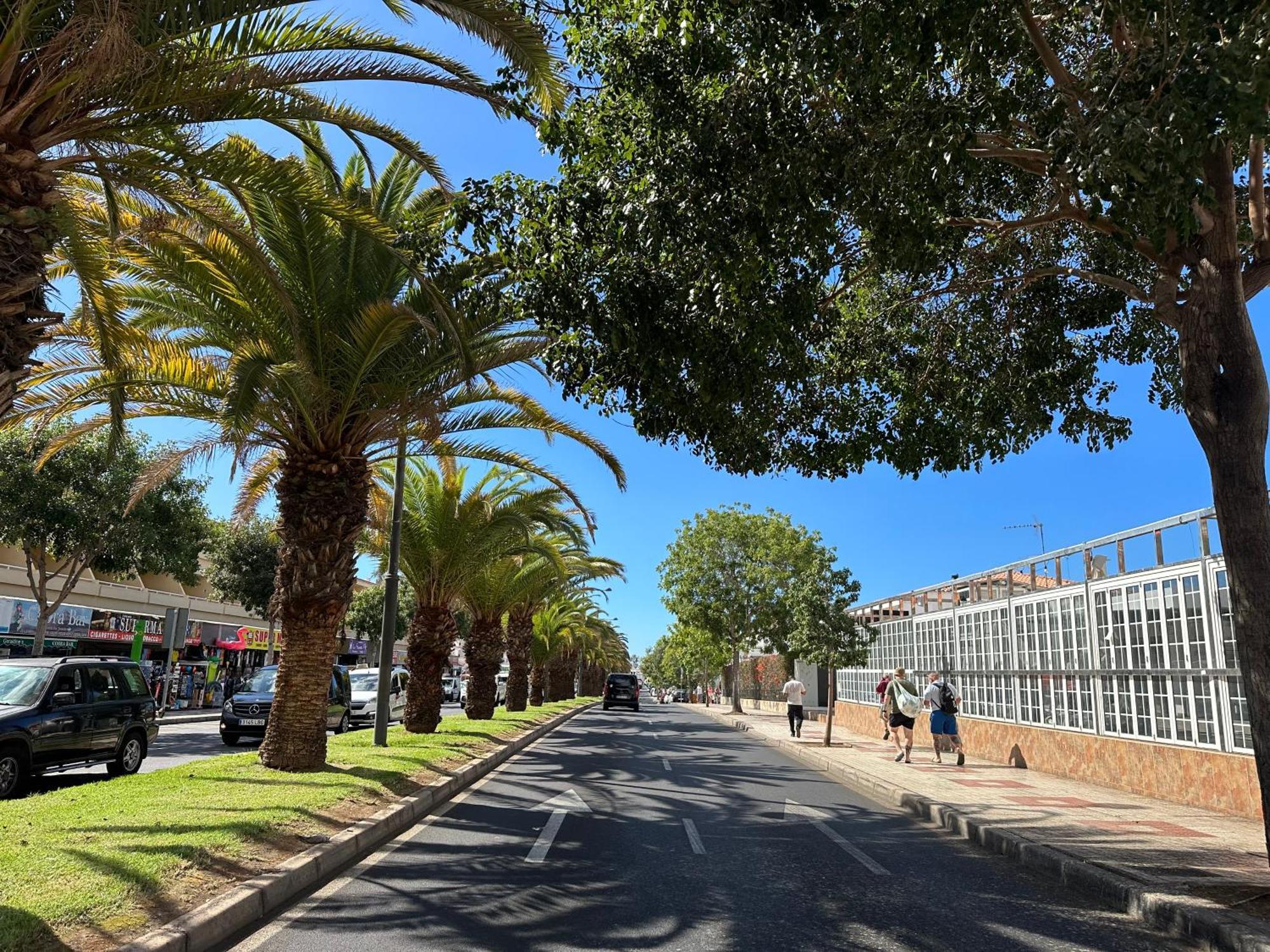 Apartment In Ocean Park Ii, Costa Adeje, Tenerife エクステリア 写真